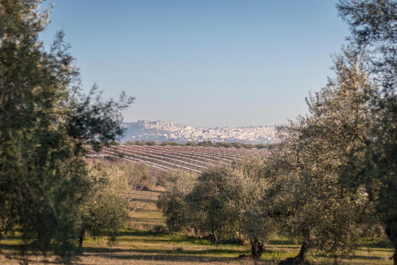 Apartmán La Ferula Magica - Alloggio Tipico Minervino Murge Exteriér fotografie